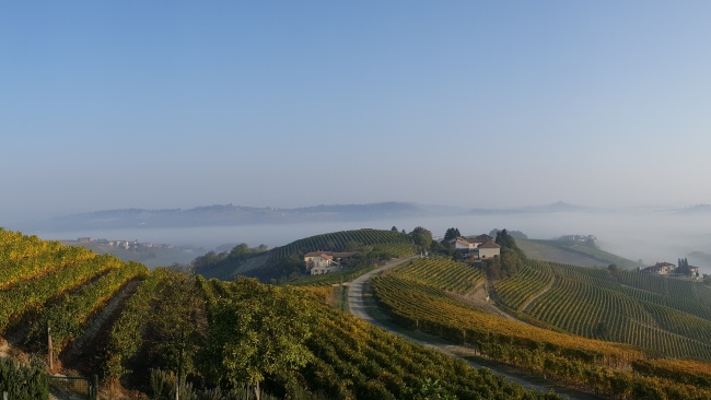 Piemont
