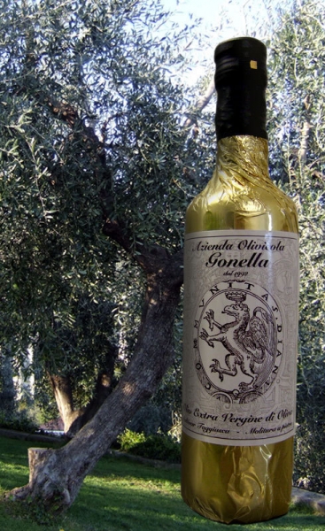 Natives Olivenöl Extra Taggiasca Ligurien 500ml